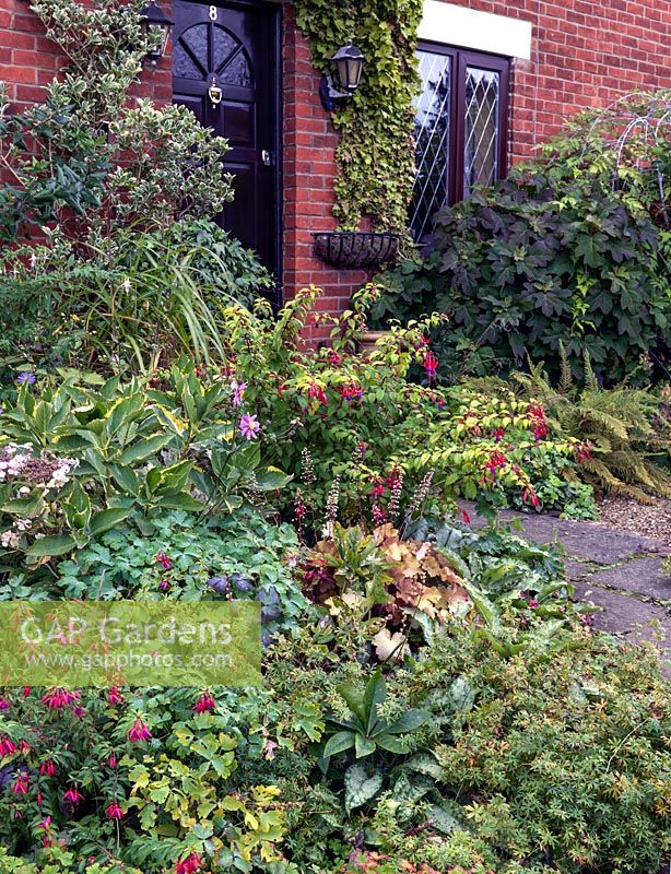 Un jardin de devant en automne avec des plantes comme le fuchsia, le heuchera, l'hortensia, l'anémone et les fougères.