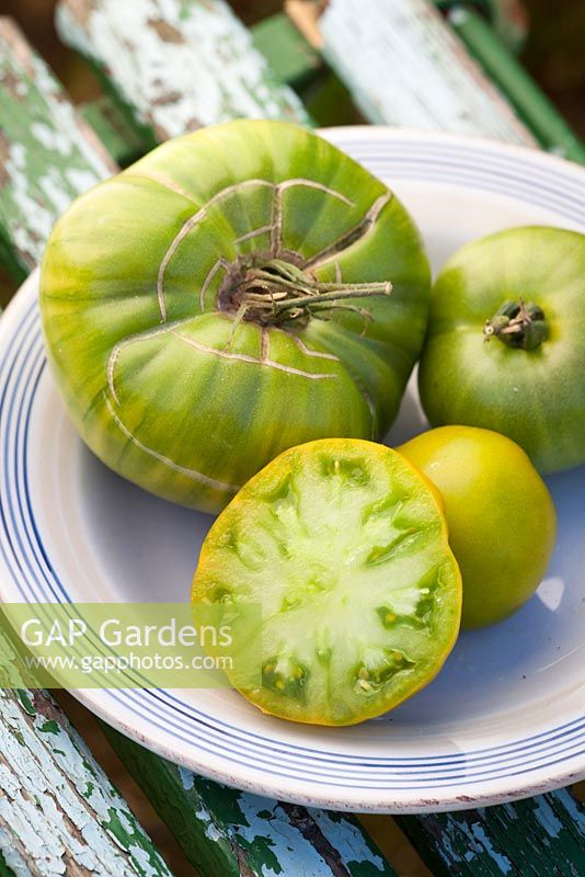 Tomate 'Tante Ruby's German Green '. Heirloom beefsteak tomato