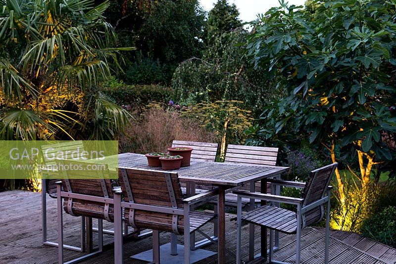 Une terrasse en bois surélevé avec mobilier de jardin pour les repas en plein air. Des Uplighters illuminent les plantations environnantes, notamment le palmier Trachycarpus fortunei, Deschampsia cespitosa 'Bronzeschlier'