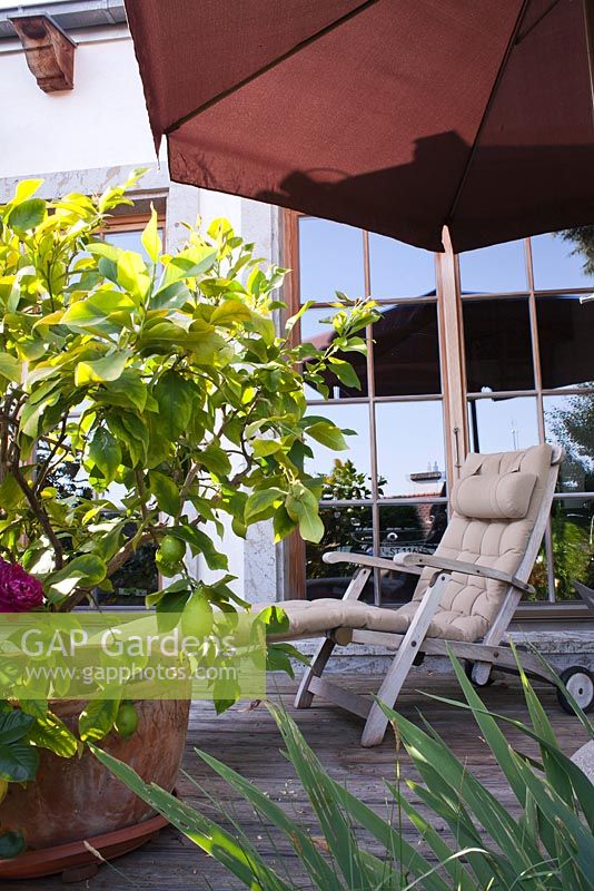 Fauteuil inclinable sur terrasse avec parasol et pot planté d'agrumes. Marina Wust, Allemagne