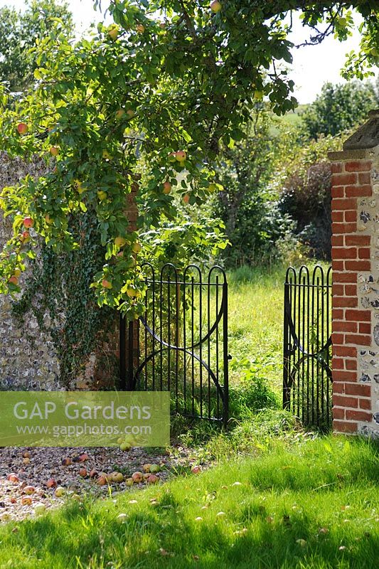 Entrée du jardin clos avec portes en fer forgé et pommes tombées. La grange aux dîmes, Cerne Abbas, Dorset
