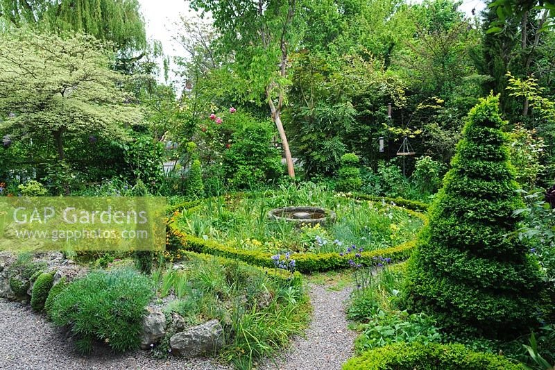 Jardin de cottage avec spirale de boîte topiaire, chemins de gravier, parterre de fleurs circulaire avec bordure de boîte naine. Parterre de fleurs surélevé avec des alpins. The Crossing House, Shepreth, Cambridge