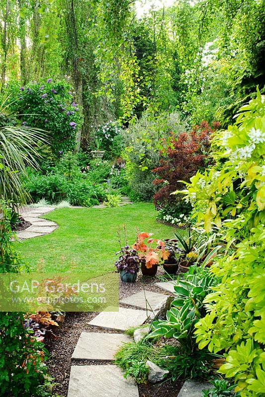 Jardin bien entretenu avec tremplins, pelouse, arbustes mixtes, bouleaux et pots avec hostas et heucheras