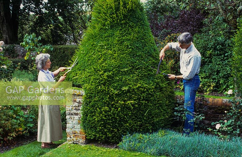 Homme et femme s'occupant de leur jardin.