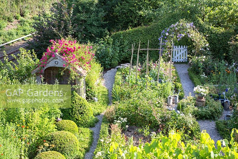 Vue de dessus du jardin rural avec tonnelle recouverte de rosier grimpant 'Excelsa', de boules, d'un potager, de chemins de gravier et d'une arche de clématite sur une porte de jardin en bois