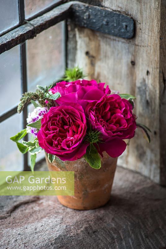 Roses rouges dans un arrangement de fleurs coupées dans un pot en terre cuite sur un rebord de fenêtre