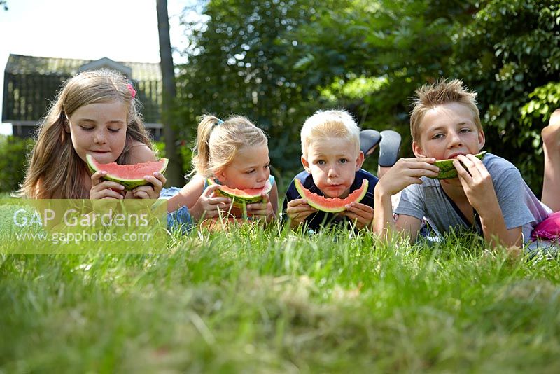 Enfants, manger, pastèque