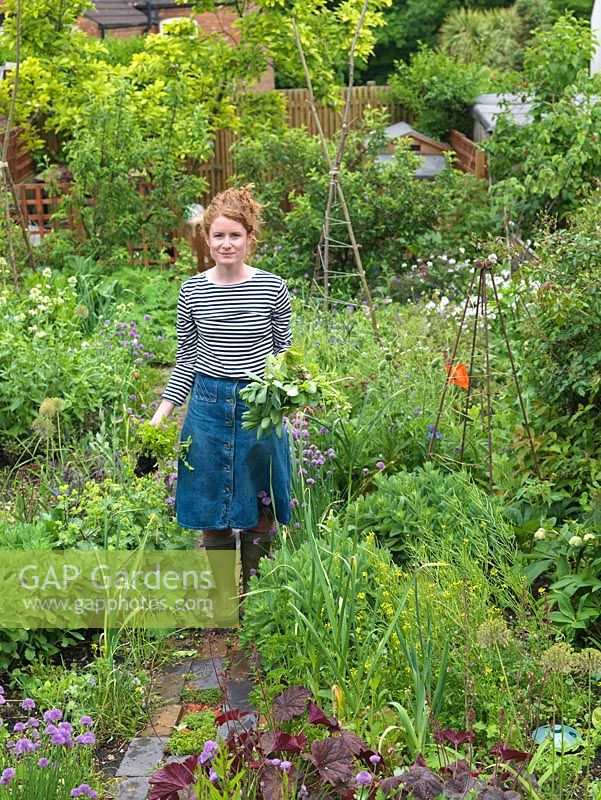 Alys Fowler, jardinière, auteur et présentatrice de télévision, cueille de la menthe dans son jardin arrière de 18 mx 6 m où elle cultive un mélange de fruits, d'herbes, de fleurs décoratives et de légumes dans des parterres de fleurs emballés