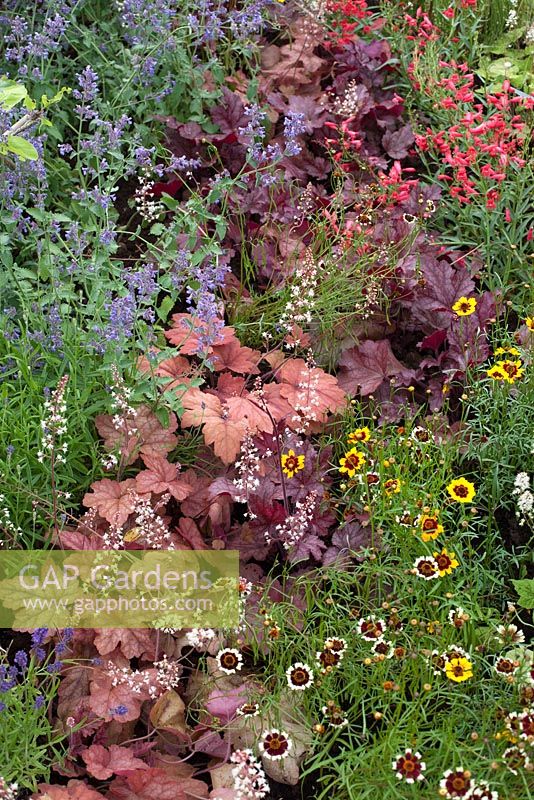Camera Obscura, BBC Gardener's World Live 2014 - Images d'une retraite d'artiste combinant un géodôme très moderne avec l'âge de beauté de la plantation éternelle