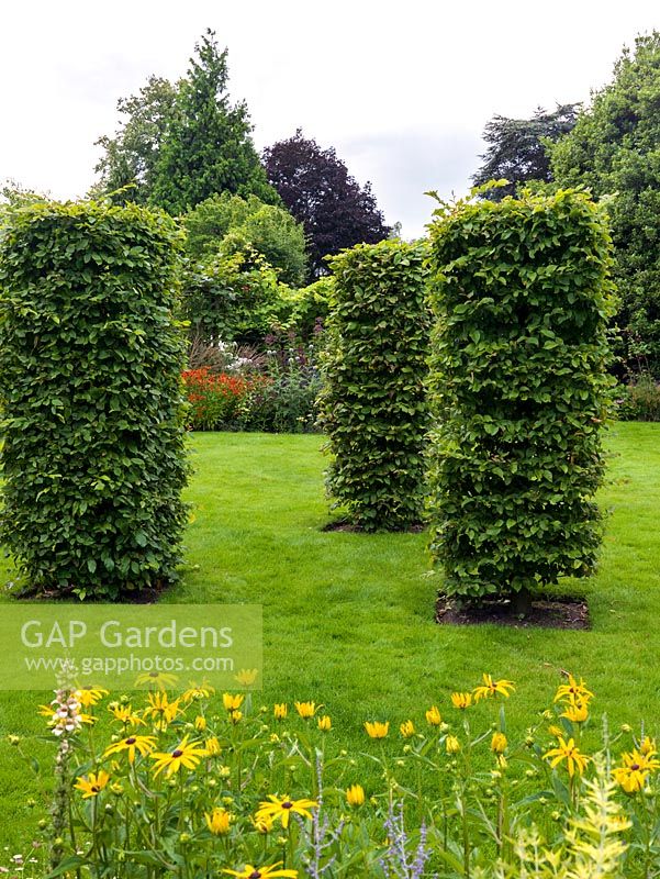Des colonnes en forme de charme placées dans la pelouse encadrent la vue sur le jardin.
