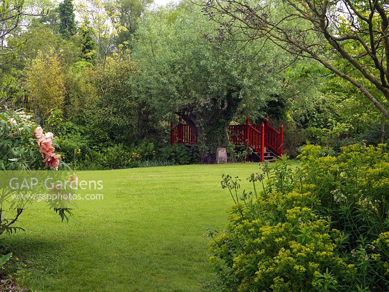 Admirez les euphorbes, nectaroscordum et Paeonia Angelet passés, sur la pelouse, jusqu'au pont rouge de style chinois à l'ombre du saule.