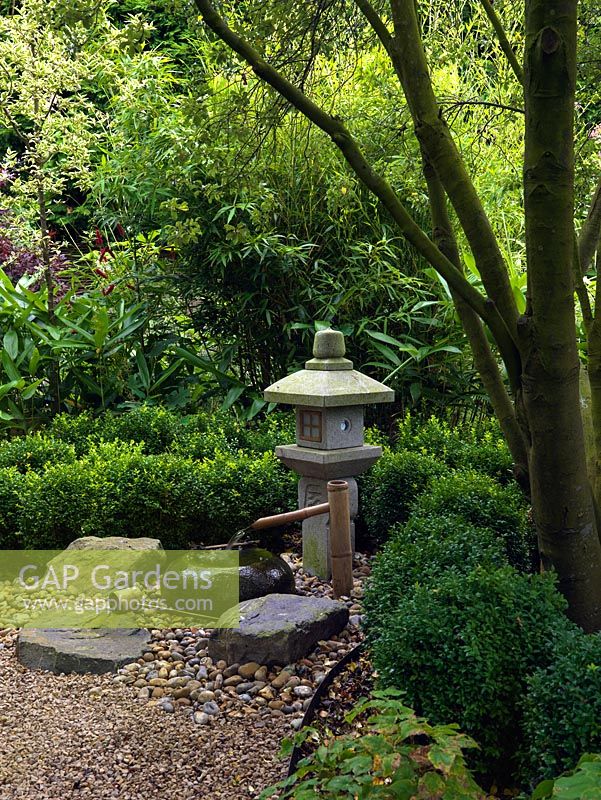 Un jardin ombragé aux influences japonaises avec lanterne et plan d'eau. La plantation comprend Buxus, géranium, Epimedium et fougères tolérants à l'ombre.