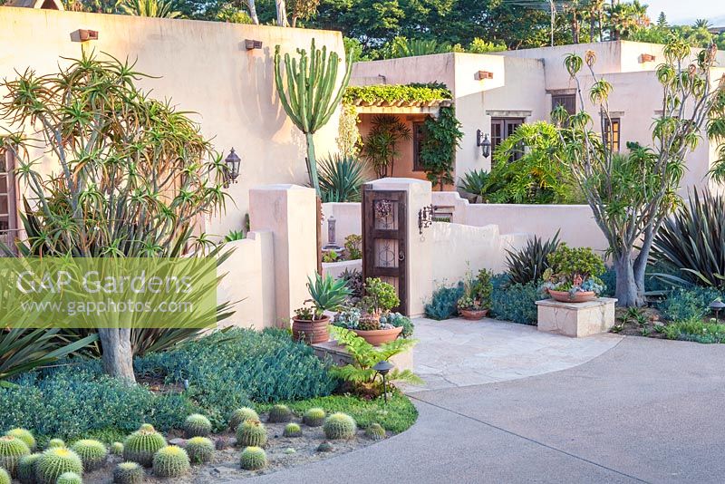 Plantes succulentes, cactus et parterre de fleurs vivaces dans le jardin de Suzy Schaefer, Rancho Santa Fe, Californie, USA.