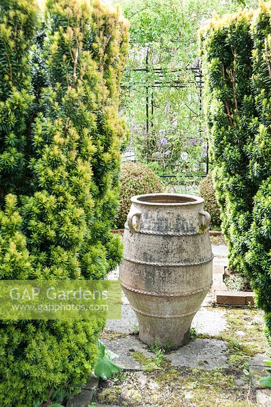 Grande urne parmi quatre ifs fastigiés dans le jardin de chaume, avec un banc en métal sous le toit de chaume derrière. Ferme Caervallack, nr Helston, Cornwall, UK