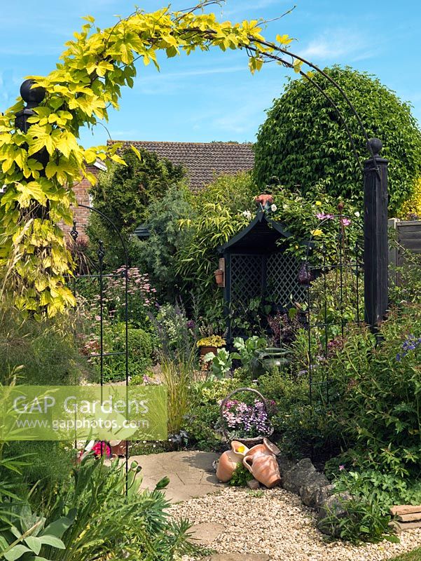 Une arche avec du houblon doré encadre une vue sur un joli jardin de ville avec une plantation de style jardin de cottage.