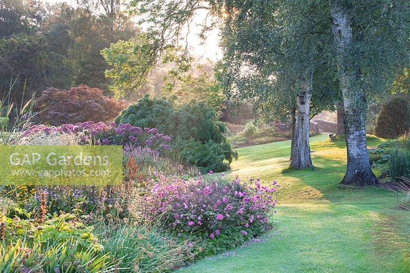 Le Dell Garden, Bressingham aux premières lueurs du mois de septembre. Jardins de Bressingham, Norfolk, Royaume-Uni.