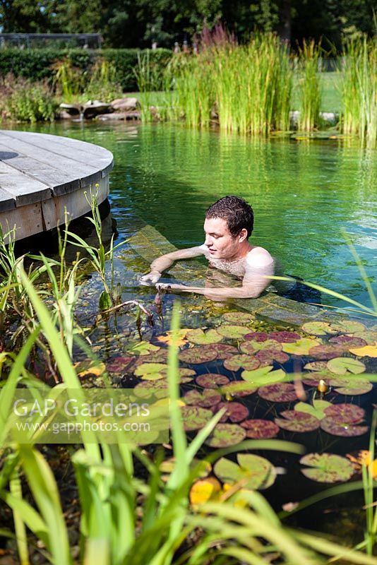 Homme relaxant dans l'étang de baignade. Septembre.