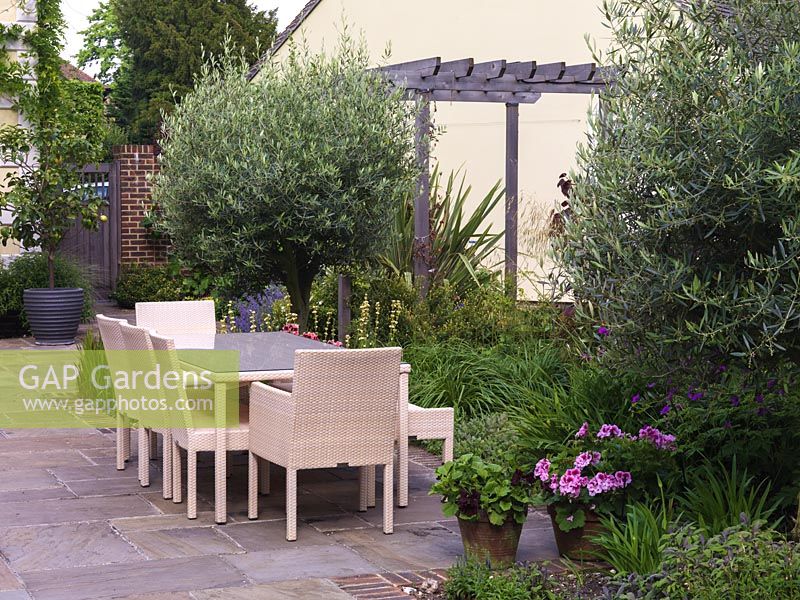 Table à manger et chaises sur terrasse ensoleillée. Parterres d'oliviers, sauge, Geranium Ann Folkard, Sisyrinchium striatum, graminées ornementales.
