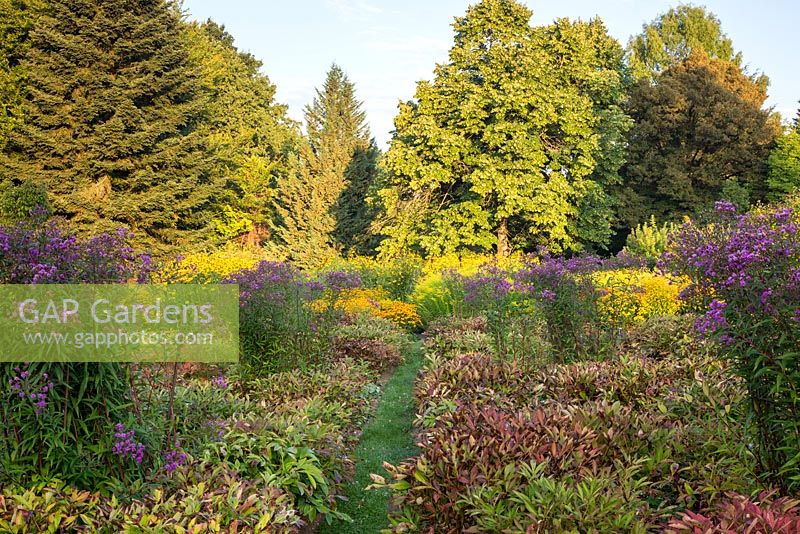 Jardin d'essai du Weihenstephan. Les parterres de pivoine à la fin de l'été avec Helenium, Paeonia, Rudbeckia, Solidago, Tilia et Vernonia crinita