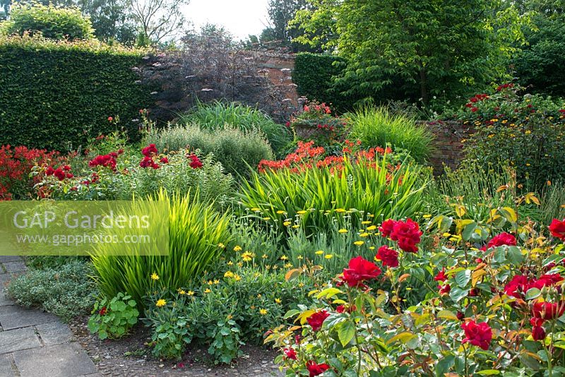 Le jardin Lanhydrock, Wollerton Old Hall. Palette de couleurs chaudes avec roses, crocosmias et alstroemerias