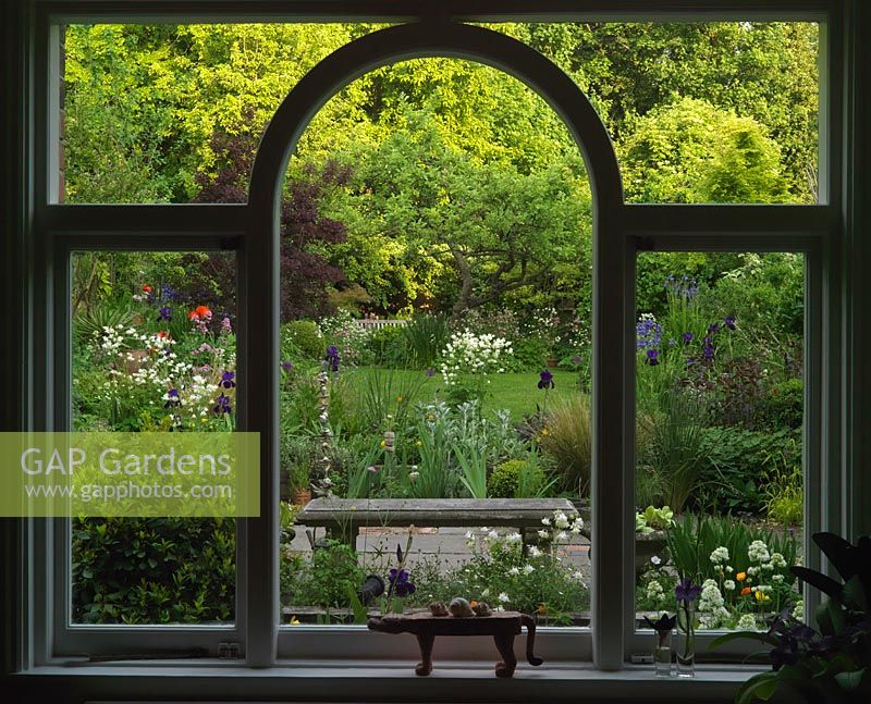 La vue depuis la fenêtre de la cuisine encadre un vieux pommier, vu à travers les parterres d'Iris, d'Aquilégie, d'Allium et de Valériane,