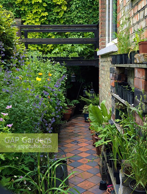 Carreaux d'argile à carreaux comme chemin à motifs dans un espace de jardin étroit, entre sous-sol de la maison et mur de soutènement. Pots de légumes et de fleurs.