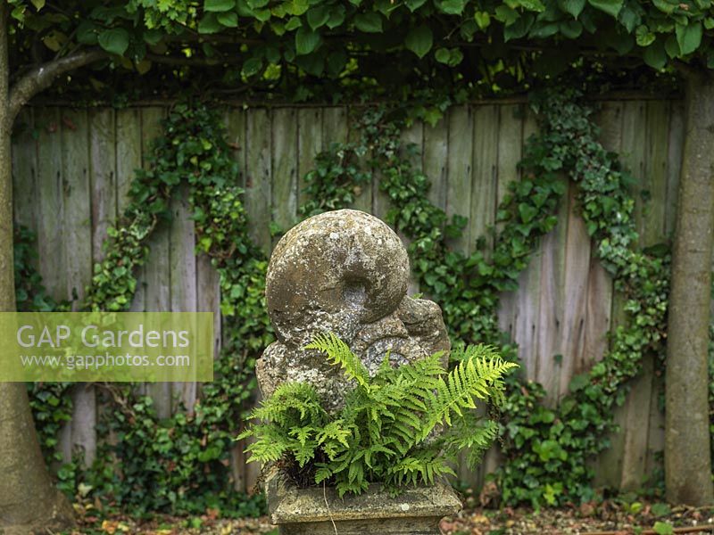 Dans un coin ombragé, sculpture en pierre sur socle planté de fougères. Derrière, une clôture terne est acclamée par un treillis de lierre.