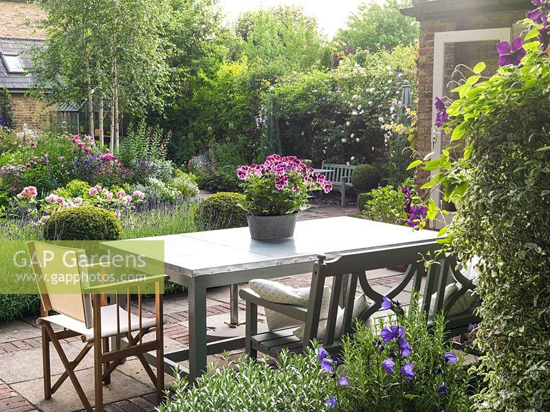 Table et chaises sur terrasse dans jardin de ville. Rétroéclairage soleil bas Clématite 'Etoile Violette', pélargonium rose en pot sur table.