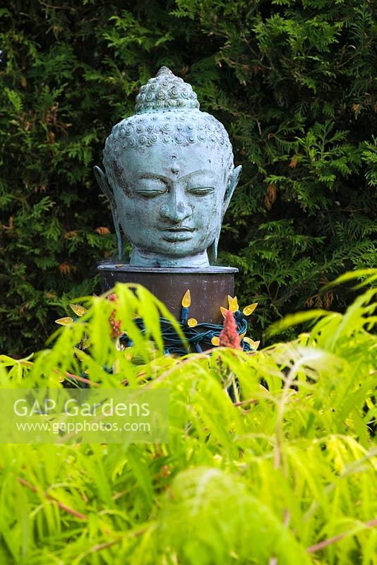Gros plan de la sculpture de tête de Bouddha et Rhus typhina 'Tiger Eyes' - arbuste Sumac dans un jardin japonais dans un jardin privé en été