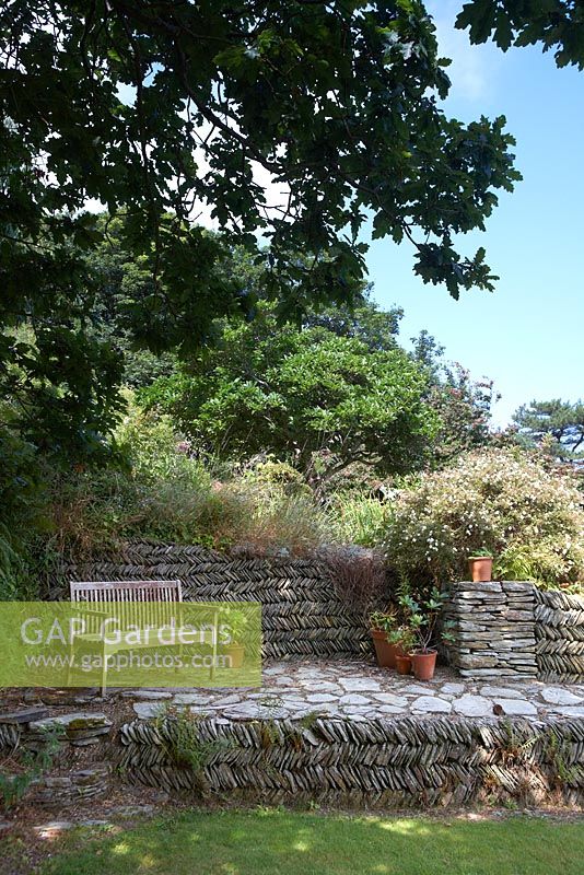 Jardin Cliffe. Banc sur zone en pierre surélevée. Mur en ardoise et Potentilla fruticosa 'Abbotswood' à droite. Chêne en haut à gauche.