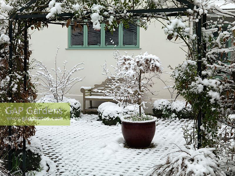 Un patio de jardin avant couvert de neige. Le grand pot avec Acer est flanqué d'une structure hivernale fournie par des balles box.