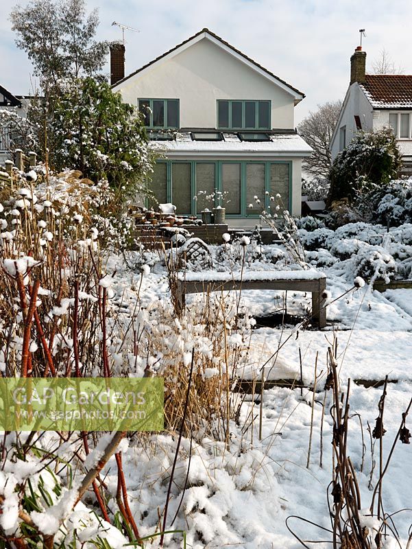 Vue de la maison dans un jardin de la Tamise conçu par Andy Sturgeon. Coffret topiaire, herbes et plantes architecturales couvertes de neige.
