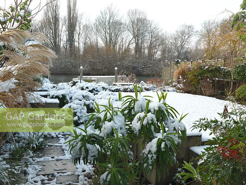 Jardin de la Tamise conçu par Andy Sturgeon. Squelette de 53 cubes de chêne anglais. Coffret topiaire, herbes et plantes architecturales couvertes de neige.