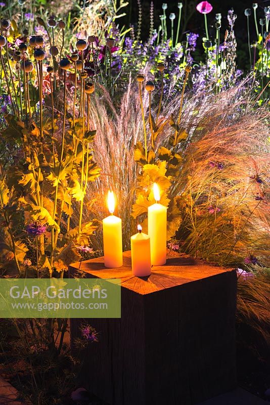 Bougies et éclairage de jardin illuminant un parterre de nuit, mettant en lumière Stipa tenuissima, coquelicots annuels et love-in-the-mist.