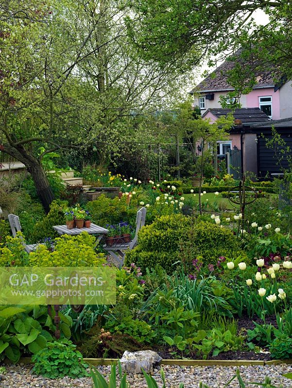 Coin salon calme au milieu de parterres de tulipes, de jonquilles, d'hellébores, de merle en lambeaux, d'euphorbes et de fougères.