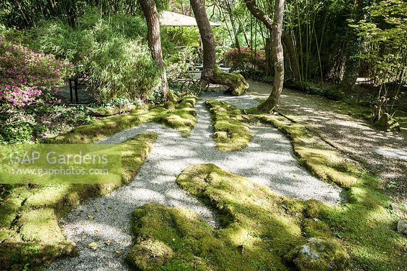 Le jardin de mousse. Le jardin japonais et la pépinière de bonsaï, St.Mawgan, nr Newquay, Cornwall