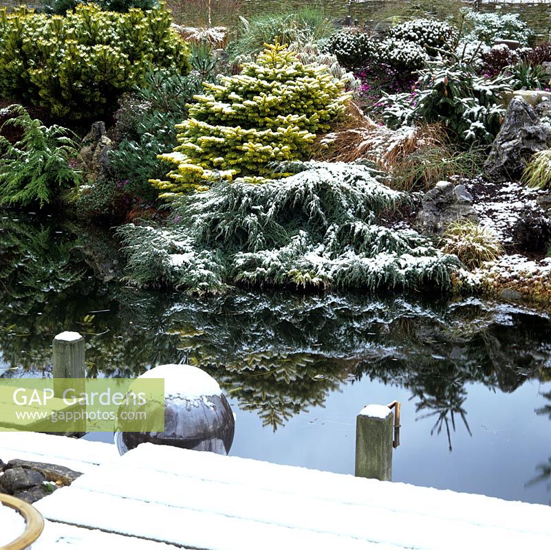 Une scène enneigée de conifères et de rochers miniatures se reflète dans la piscine immobile.