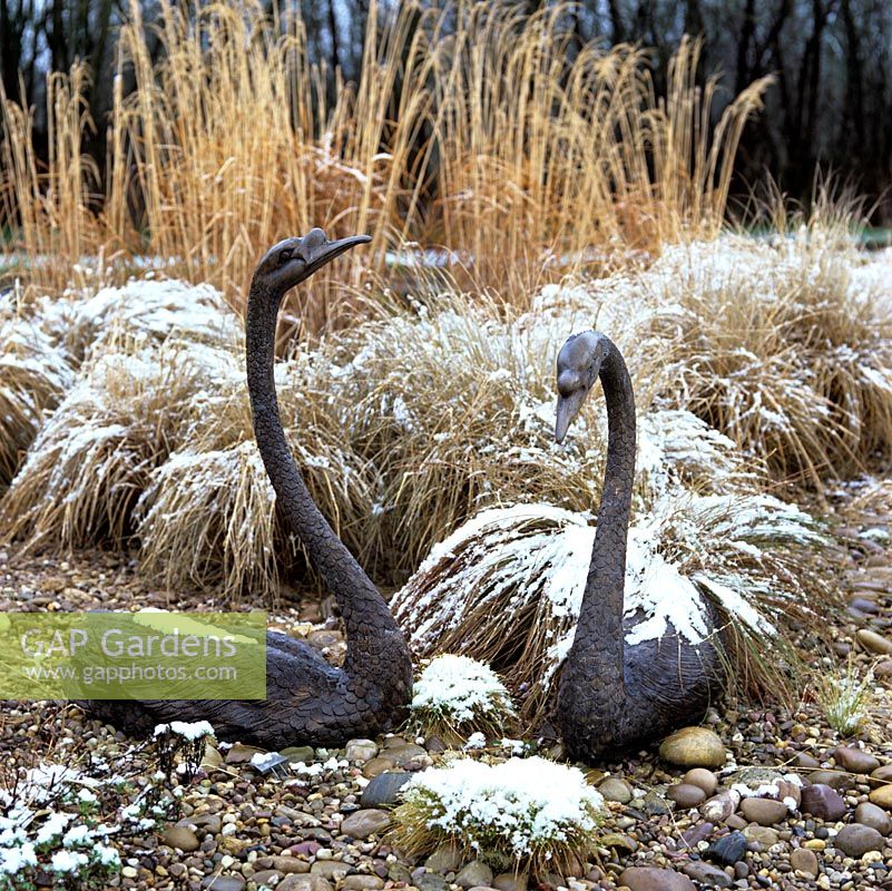 Deux statues de cygne reposent parmi les herbes ornementales, toutes saupoudrées de neige.