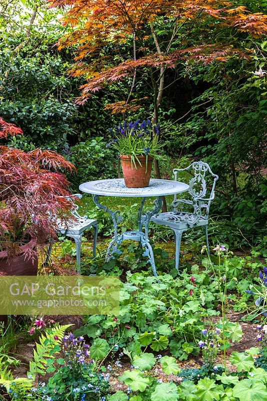 Le patio supérieur à la carrière Cottage entouré d'arbres acer.