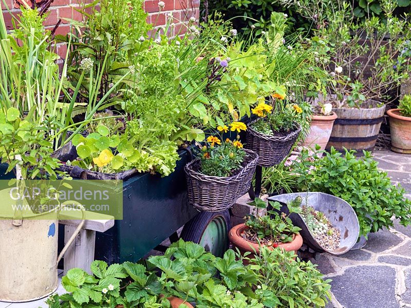 Un patio avec des pots fabriqués à partir d'objets récupérés, y compris un chariot rempli d'herbes, de soucis dans des paniers et de plantes succulentes dans une écope.