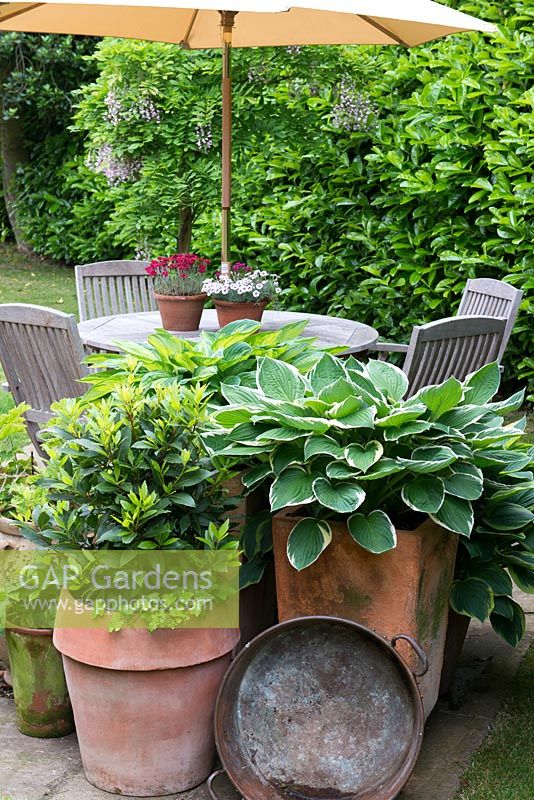 Un petit pot en pot planté de Hosta 'Silk Road', Hosta 'Great Expectations', Hosta 'June' et Bay avec des meubles de jardin en bois sur un petit patio en pierre derrière.