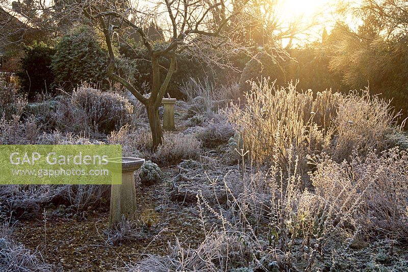 Jardin d'hiver givré avec cadran solaire et bain d'oiseaux, tiges givrées de vivaces et d'arbustes, janvier