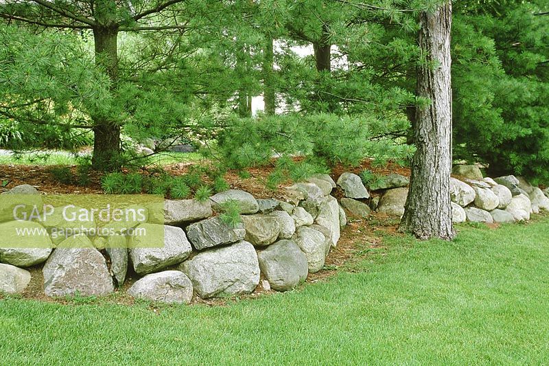 Mur en pierre sèche, fait de rochers, gardant la pelouse et les pins séparés. Michigan, USA, juillet.