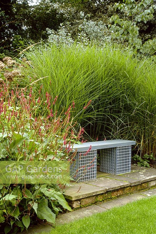 Chaise de jardin contemporaine adoucie par l'herbe ornementale et la Persicaria. Long Road Cambridge. Conception Paul Dracott