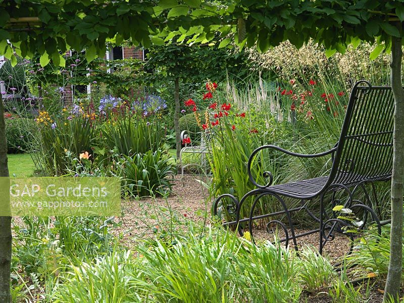 Une haie de charme blanchi encadre une vue sur un jardin de gravier avec banc en métal orné. La plantation comprend Verbena bonariensis, Agapanthus, Persicaria et Crocosmia.