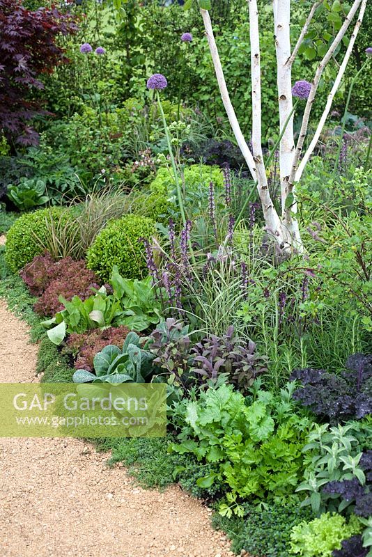 A Fruity Story, Malvern Spring Gardening Show 2014, un jardin démontrant que les arbres, les fruits rouges, les herbes et les salades à feuilles peuvent être combinés de manière créative pour produire un espace frais, amusant et fonctionnel - Concepteur: Richard Wanless