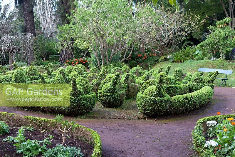 Jardin topiaire de paon au Palheiro's Garden, ou Blandy's Garden, Funchal, Madère