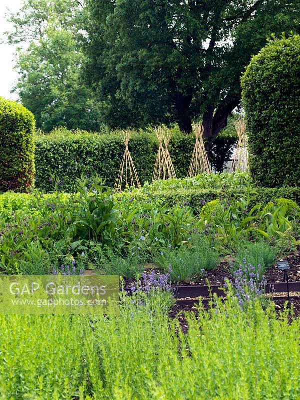 Vue sur le jardin d'herbes aromatiques. Le potager biologique clos de deux hectares du Manoir aux Quat ' Saisons, conçu par le célèbre chef Raymond Blanc.