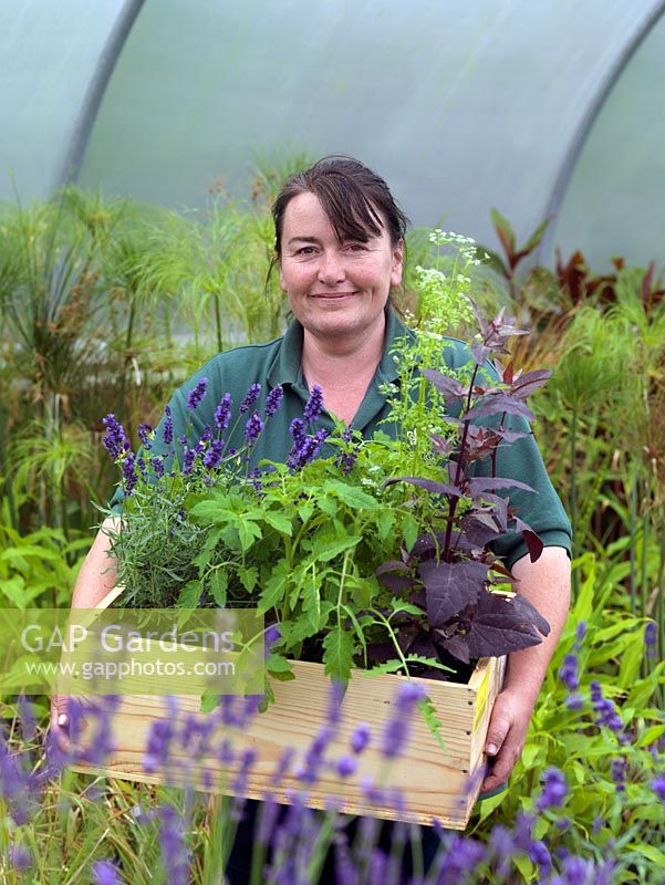 Anne Marie Owens, jardinière en chef au Manoir, avec une boîte d'herbes fraîches et de fleurs cultivées dans le potager.