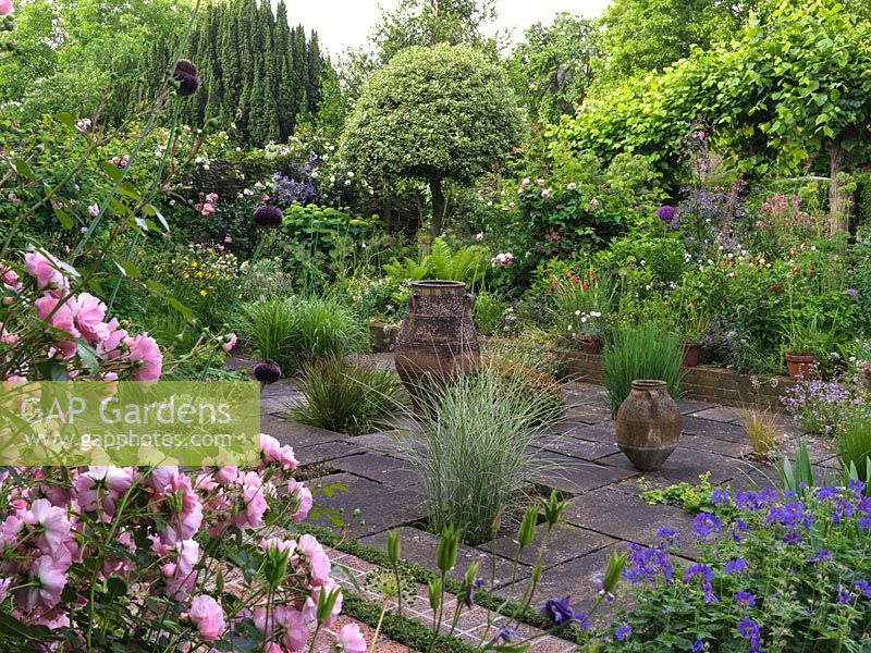 Voir devant Rosa 'Bonica' et Geranium ibericum au jardin en contrebas pavé avec des pots et des herbes.